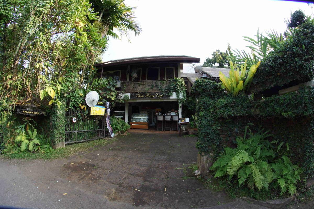Fern Forest Cafe