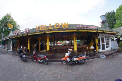 Zoe in Yellow Bar and SCAM WARNING!