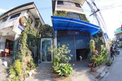 Sunny Salsa Guesthouse