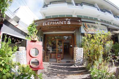 Elephants ช๊าง