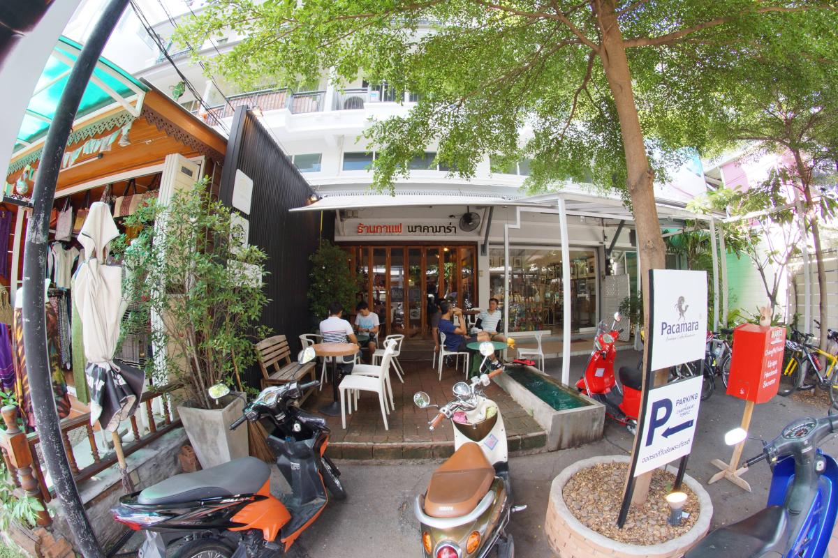 Pacamara Boutique Coffee Roasters ร้านกาแฟพาคามาร่า