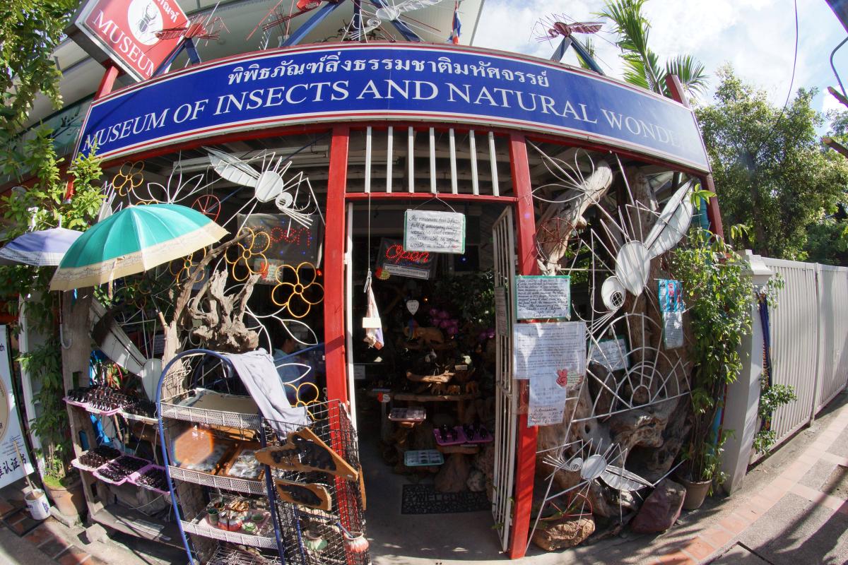 Museum of Insects and Natural Wonders Ratchadamnoen Branch