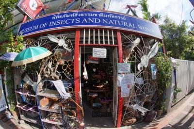 Museum of Insects and Natural Wonders Ratchadamnoen Branch