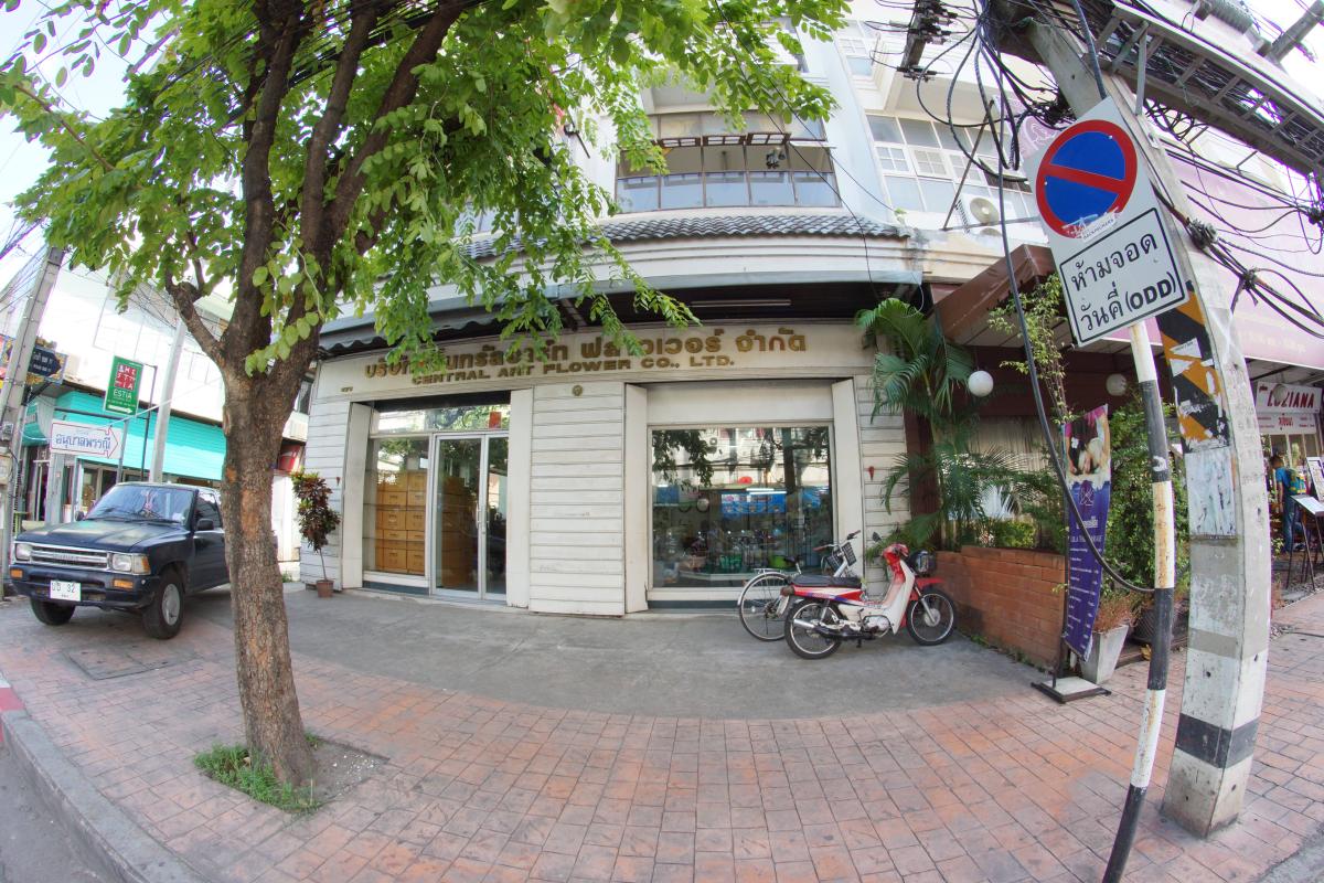 Central Art Flower