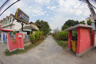 Spicy Thai Backpackers